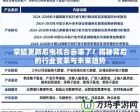 掌盟更新后電視臺去哪了？揭秘背后的行業(yè)變革與未來趨勢