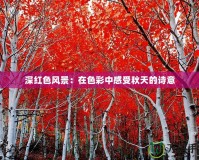 深紅色風景：在色彩中感受秋天的詩意