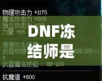 DNF凍結(jié)師是靠力量還是攻擊？解析職業(yè)選擇與屬性加點
