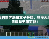 我的世界聯(lián)機盒子開掛，暢享無限樂趣與無限可能！