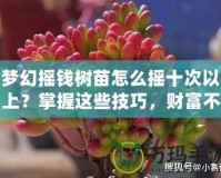 夢幻搖錢樹苗怎么搖十次以上？掌握這些技巧，財富不再遙不可及！