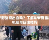 DNF野豬能出血嗎？了解DNF野豬出血機制與玩法技巧