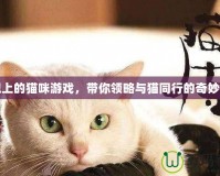 電視上的貓咪游戲，帶你領(lǐng)略與貓同行的奇妙冒險