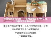 打造專屬游戲天堂——官網(wǎng)游戲盒子APP，讓你暢享無限游戲樂趣