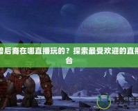 魔獸后裔在哪直播玩的？探索最受歡迎的直播平臺(tái)