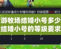 夢幻西游牧場結(jié)婚小號多少級？揭秘成功結(jié)婚小號的等級要求與技巧
