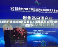 《征途召喚加精神還是智力？揭秘角色成長的最佳選擇》