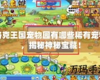 洛克王國寵物園有哪些稀有寵物，揭秘神秘寶藏！