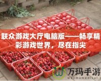 聯(lián)眾游戲大廳電腦版——暢享精彩游戲世界，盡在指尖
