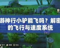 夢幻西游神行小驢能飛嗎？解密游戲中的飛行與速度系統(tǒng)