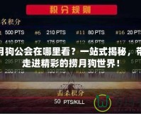 撈月狗公會(huì)在哪里看？一站式揭秘，帶你走進(jìn)精彩的撈月狗世界！