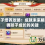夢(mèng)幻孩子培養(yǎng)攻略：成就未來精英，掌握孩子成長(zhǎng)的關(guān)鍵