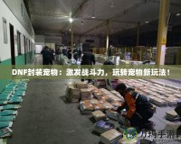 DNF封裝寵物：激發(fā)戰(zhàn)斗力，玩轉寵物新玩法！