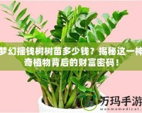 夢(mèng)幻搖錢樹(shù)樹(shù)苗多少錢？揭秘這一神奇植物背后的財(cái)富密碼！