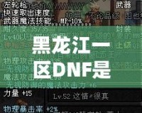 黑龍江一區(qū)DNF是跨幾？詳解DNF跨區(qū)與黑龍江一區(qū)的獨(dú)特魅力