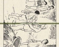 小兵的故事2攻略｜3.5版本深度解析，助你成為游戲大師！