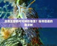 洛克王國的可可樹在哪里？探尋隱藏的魔法樹