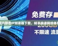 國內(nèi)靜態(tài)IP加速器下載，暢享極速網(wǎng)絡(luò)體驗