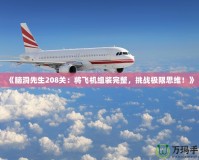 《腦洞先生208關(guān)：將飛機(jī)組裝完整，挑戰(zhàn)極限思維！》