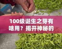 100級誕生之芽有啥用？揭開神秘的面紗，探索無限可能！
