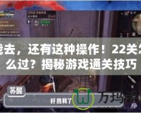 我去，還有這種操作！22關(guān)怎么過？揭秘游戲通關(guān)技巧