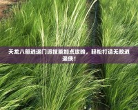 天龍八部逍遙門派技能加點(diǎn)攻略，輕松打造無(wú)敵逍遙俠！