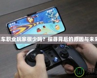 QQ飛車(chē)職業(yè)玩家很少嗎？探尋背后的原因與未來(lái)趨勢(shì)