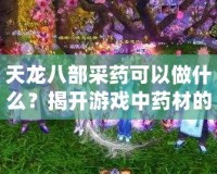 天龍八部采藥可以做什么？揭開游戲中藥材的神秘面紗！