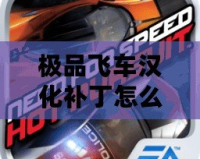極品飛車漢化補(bǔ)丁怎么用不了？快速解決方法全解析