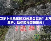 保衛(wèi)蘿卜挑戰(zhàn)攻略32關(guān)怎么過關(guān)？全方位解析，助你輕松突破難關(guān)！