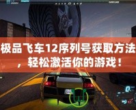 極品飛車12序列號(hào)獲取方法，輕松激活你的游戲！