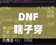 DNF瞎子穿什么甲？讓你秒變無敵的裝備選擇解析！