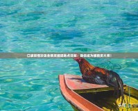 口袋妖怪珍珠全精靈捕捉地點(diǎn)詳解：助你成為捕精靈大師！