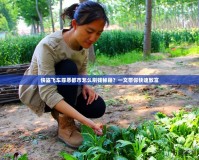 俠盜飛車罪惡都市怎么刷錢秘籍？一文帶你快速致富