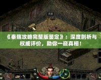 《秦殤攻略完整版鑒定》：深度剖析與權(quán)威評價，助你一窺真相！