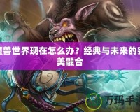 魔獸世界現(xiàn)在怎么辦？經(jīng)典與未來的完美融合