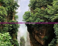 阿凡達(dá)攻略：歡迎加入反抗軍，征戰(zhàn)潘多拉星球！