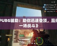 《PUBG輔助：助你迅速登頂，贏得每一場(chǎng)戰(zhàn)斗》
