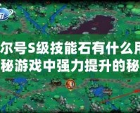 賽爾號S級技能石有什么用？揭秘游戲中強力提升的秘密武器！