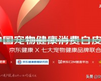 洛克王國最強(qiáng)寵物排行榜2023最新：征服戰(zhàn)場的寵物大集合！