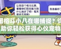 洛克王國格斗小八在哪捕捉？詳細(xì)攻略助你輕松獲得心儀寵物