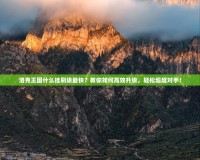 洛克王國什么掛刷級最快？教你如何高效升級，輕松超越對手！