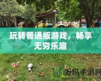 玩轉(zhuǎn)普通版游戲，暢享無(wú)窮樂趣
