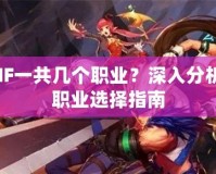 DNF一共幾個(gè)職業(yè)？深入分析與職業(yè)選擇指南