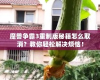 魔獸爭霸3重制版秘籍怎么取消？教你輕松解決煩惱！
