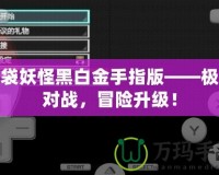 口袋妖怪黑白金手指版——極限對(duì)戰(zhàn)，冒險(xiǎn)升級(jí)！