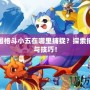 洛克王國(guó)格斗小五在哪里捕捉？探索捕捉攻略與技巧！