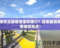洛克王國萌寶寶在哪打？探索最強(qiáng)萌寵捕捉地點(diǎn)！