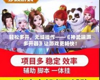 輕松多開，無縫操作——《神武端游多開器》讓游戲更暢快！