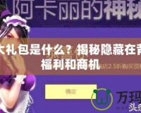 聯(lián)盟大禮包是什么？揭秘隱藏在背后的福利和商機(jī)